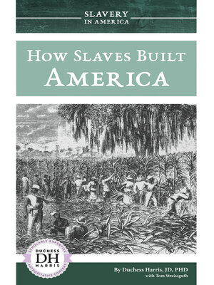 cover image of How Slaves Built America